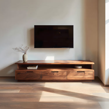 Minimalist Low Profile TV Cabinet With Drawer Storage