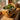 Natural Wood Succulent Planter Centerpiece for Rustic Modern Interiors