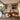 Modern Round Dining Table With Sculptural Twisted Wood Base