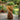 Tall Sculptural Solid Wood Planter for Elegant Garden Accents