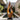 Modern Flame Form Abstract Wood Sculpture Decor
