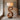 Hand-Carved Spiral Wood Floor Lamp for Contemporary Living Spaces