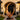 Lunar Crest Abstract Wood Sculpture