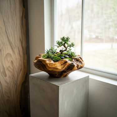 Handcrafted Natural Wood Bonsai Planter Bowl for Zen Garden Decor
