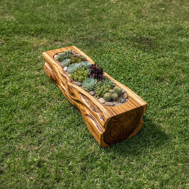 Handcrafted Solid Wood Succulent Trough Planter for Garden Landscapes