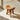 Curved Seat Shower Stool Natural Wood Modern Bathroom Seating