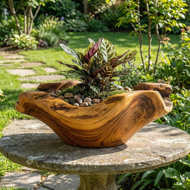 Handcrafted Solid Wood Plant Display Bowl for Minimalist Living Spaces