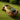 Extra Long Solid Wood Planter Trough for Organic Outdoor Decor