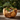 Solid Wood Bonsai Planter Bowl Hand Carved Natural Decor