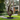 Tall Abstract Solid Wood Sculpture Hand Carved Outdoor Wood Statue