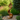 Organic Solid Wood Garden Sculpture with Flowing Abstract Design