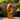 Outdoor Solid Wood Spiral Sculpture for Garden Landscape Decor