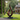 Large Handcarved Wood Sculpture Modern Abstract Garden Statue with Natural Grain Texture