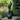 Large Black Abstract Wood Sculpture Handcrafted Modern Garden Outdoor Statement Statue
