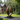 Large Abstract Solid Wood Sculpture Modern Handcarved Garden Outdoor Statement Art