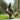 Outdoor Solid Wood Garden Sculpture for Modern Landscape Design