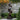 Twisted Solid Wood Garden Sculpture for Modern Outdoor Decor