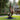 Tall Solid Wood Garden Sculpture with Organic Flame Shape