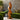 Contemporary Twisting Natural Wood Sculpture for Garden Display