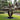 Large Outdoor Solid Wood Sculpture Hand Carved Abstract Garden Wood Art