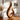 Sculptural Spiral Form in Natural Wood with Elongated Curved Silhouette